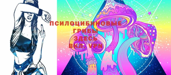амф Алексеевка