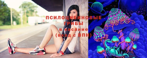 дживик Алексин