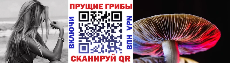 наркотики  omg tor  Псилоцибиновые грибы Magic Shrooms  Мыски 