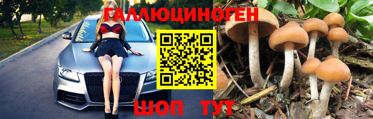 Псилоцибиновые грибы ЛСД Мыски