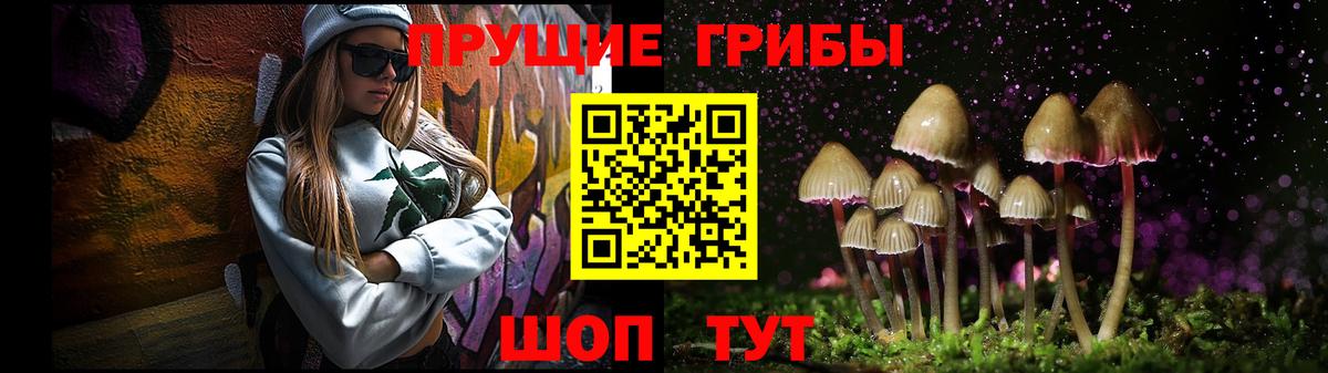 Мыски  Галлюциногенные грибы Cubensis  Вход с VPN 